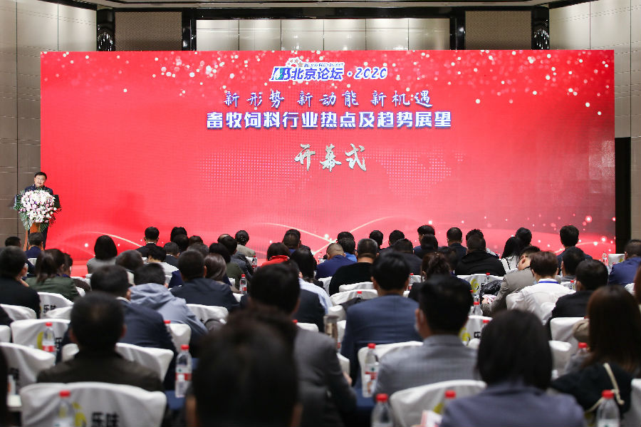 尊龙人生就是博d88 - App Store