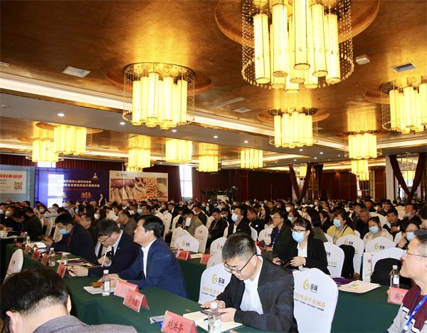 尊龙人生就是博d88 - App Store