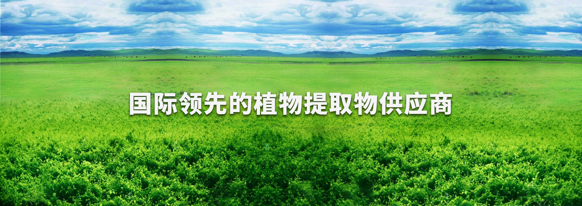 尊龙人生就是博d88 - App Store