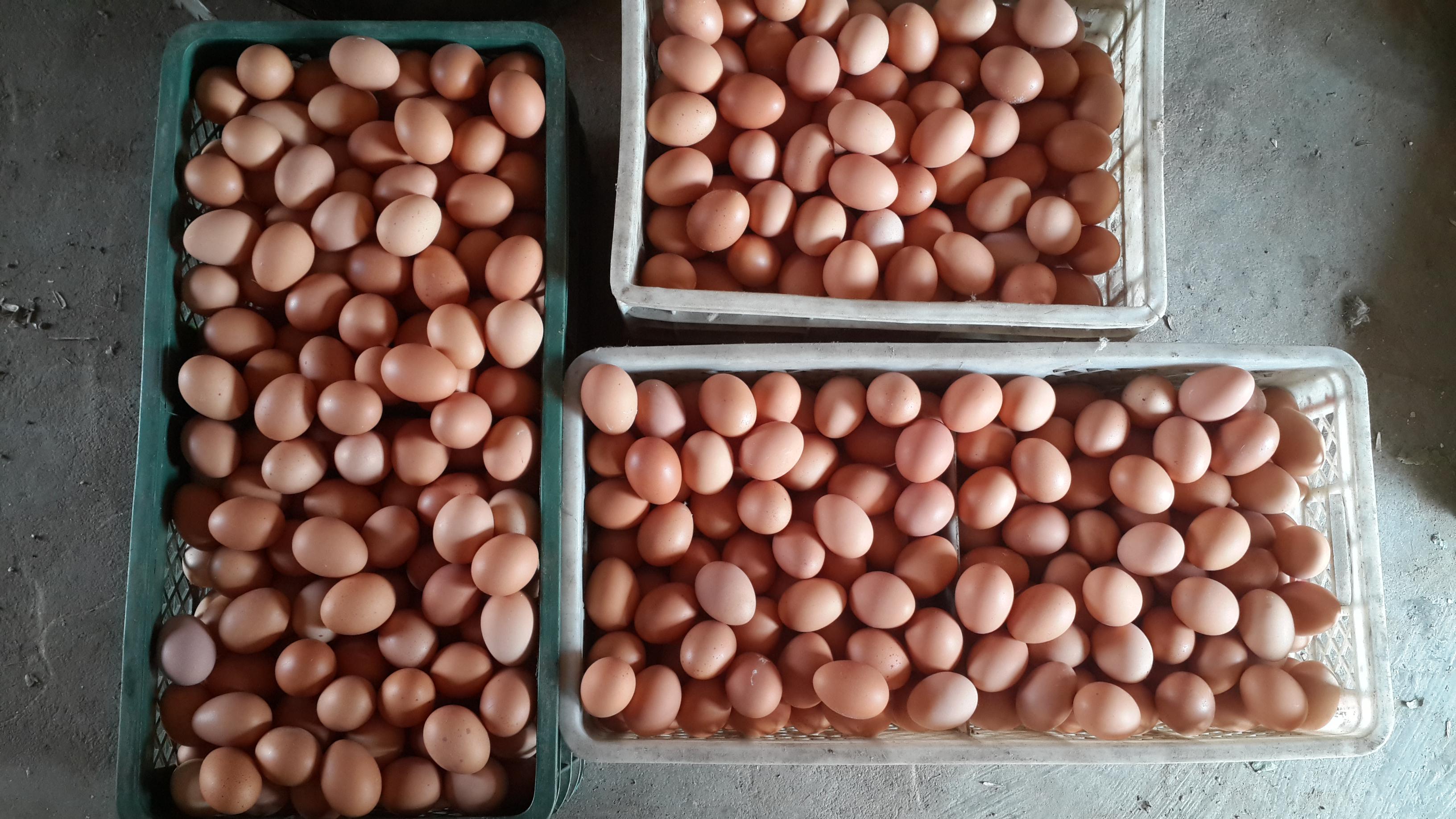 尊龙人生就是博d88 - App Store