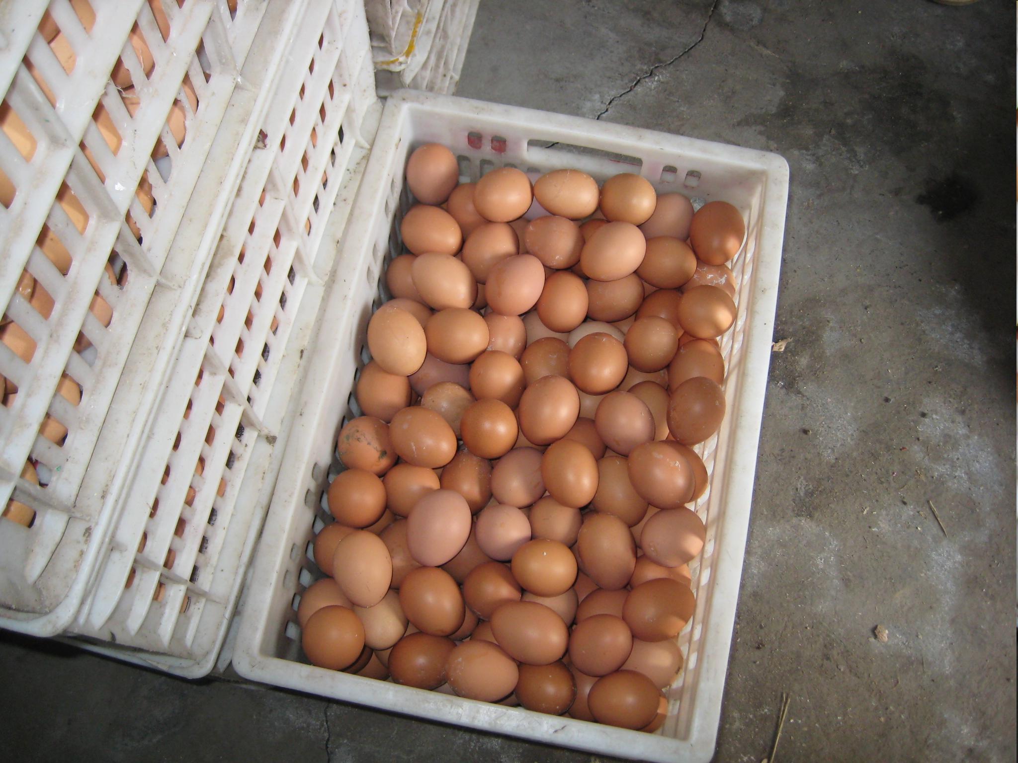 尊龙人生就是博d88 - App Store