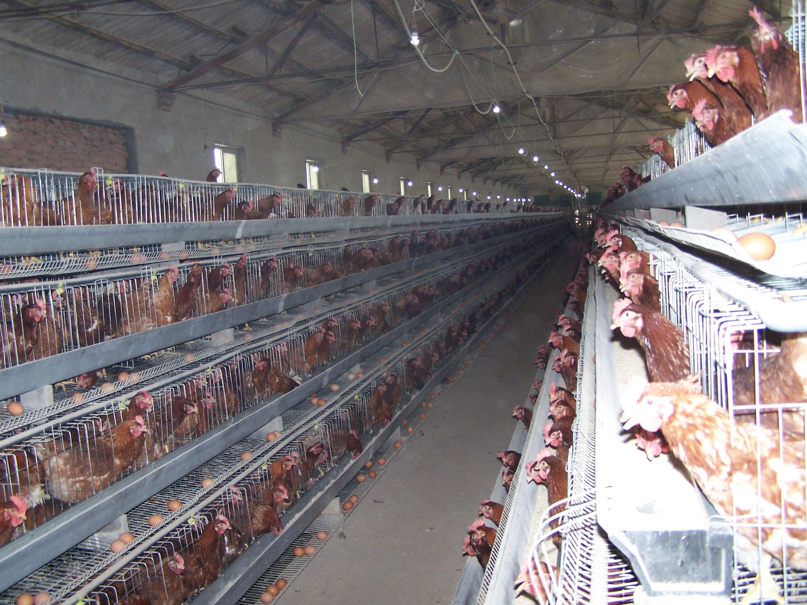 尊龙人生就是博d88 - App Store