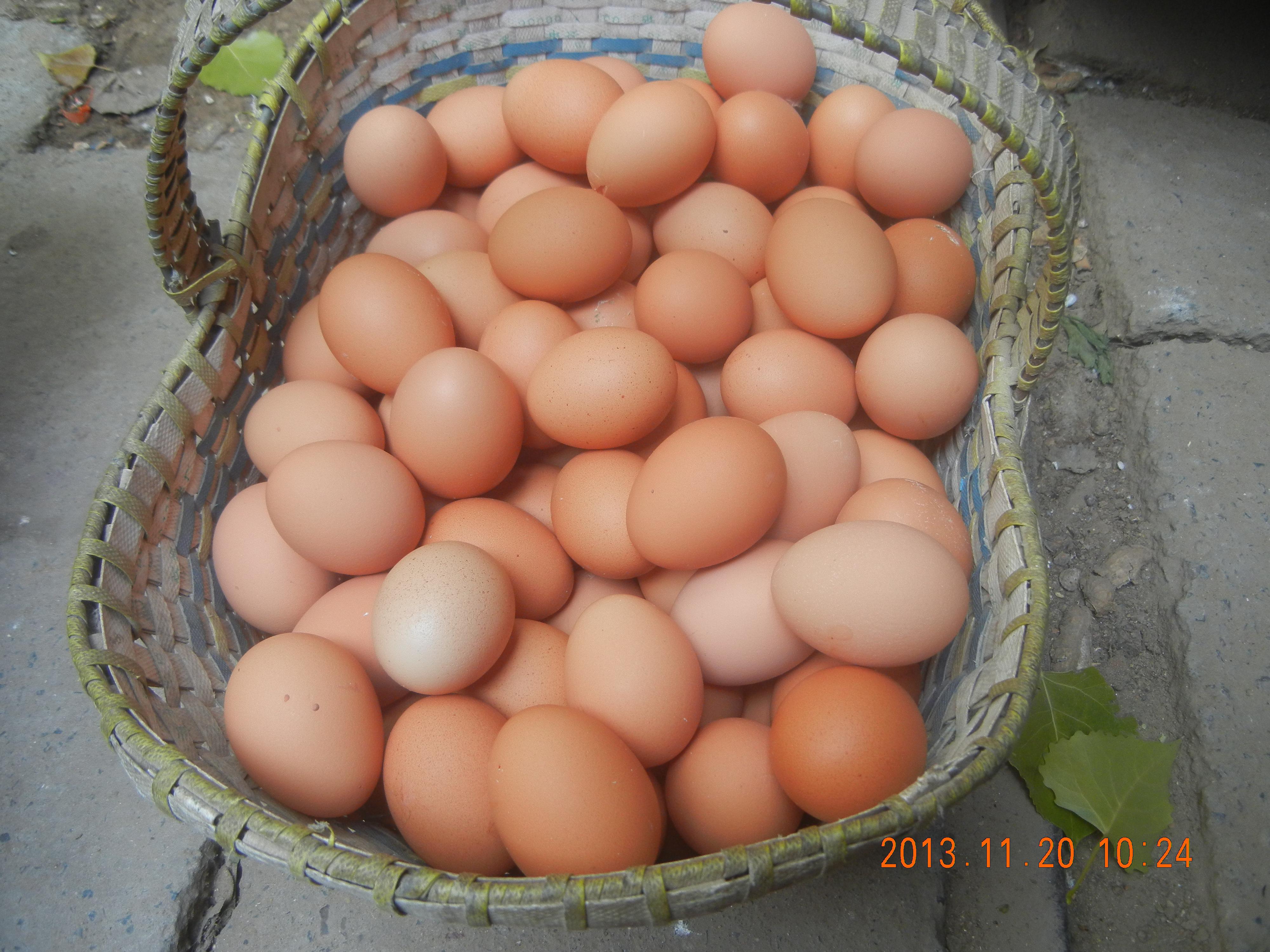 尊龙人生就是博d88 - App Store