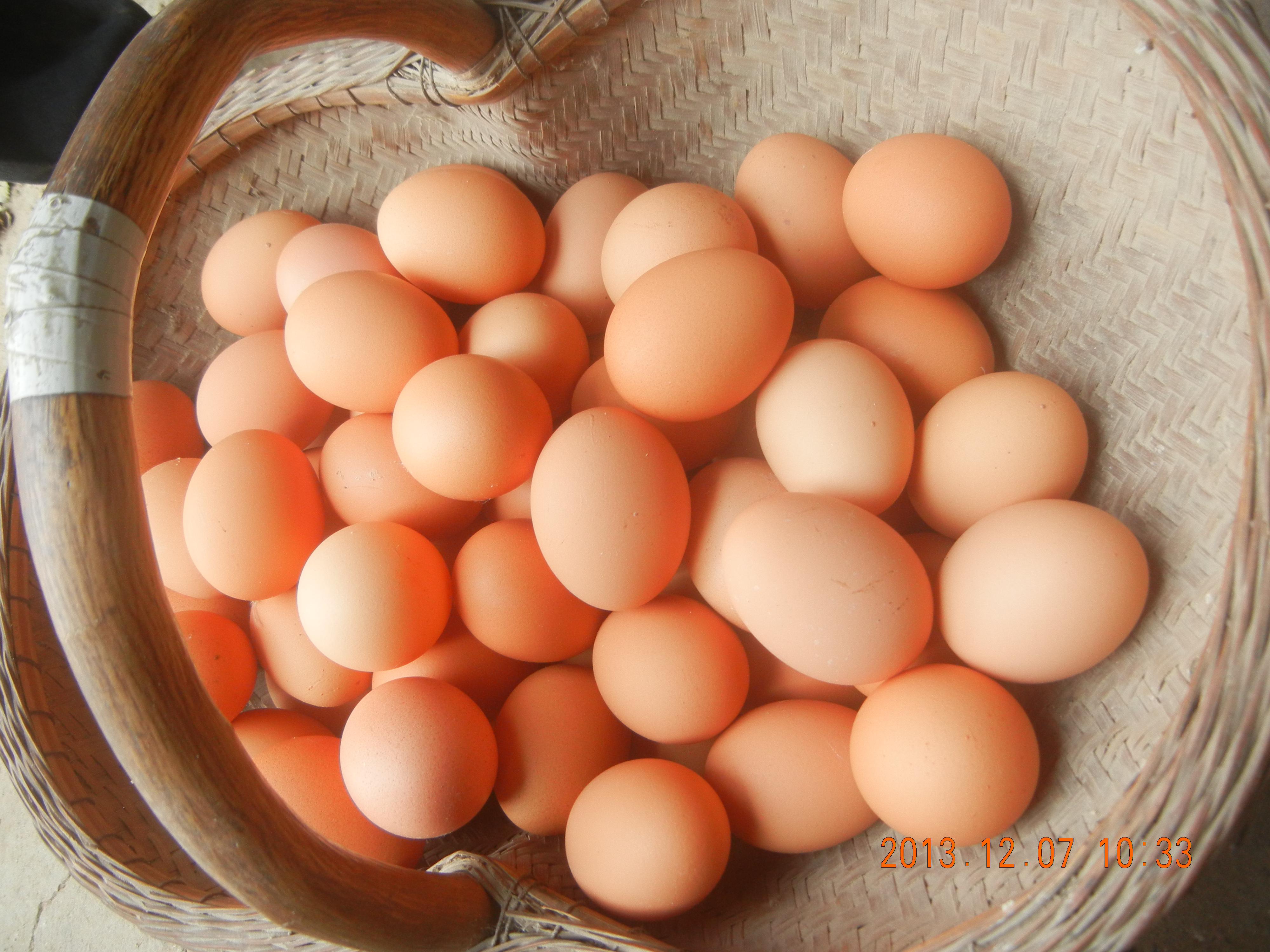 尊龙人生就是博d88 - App Store