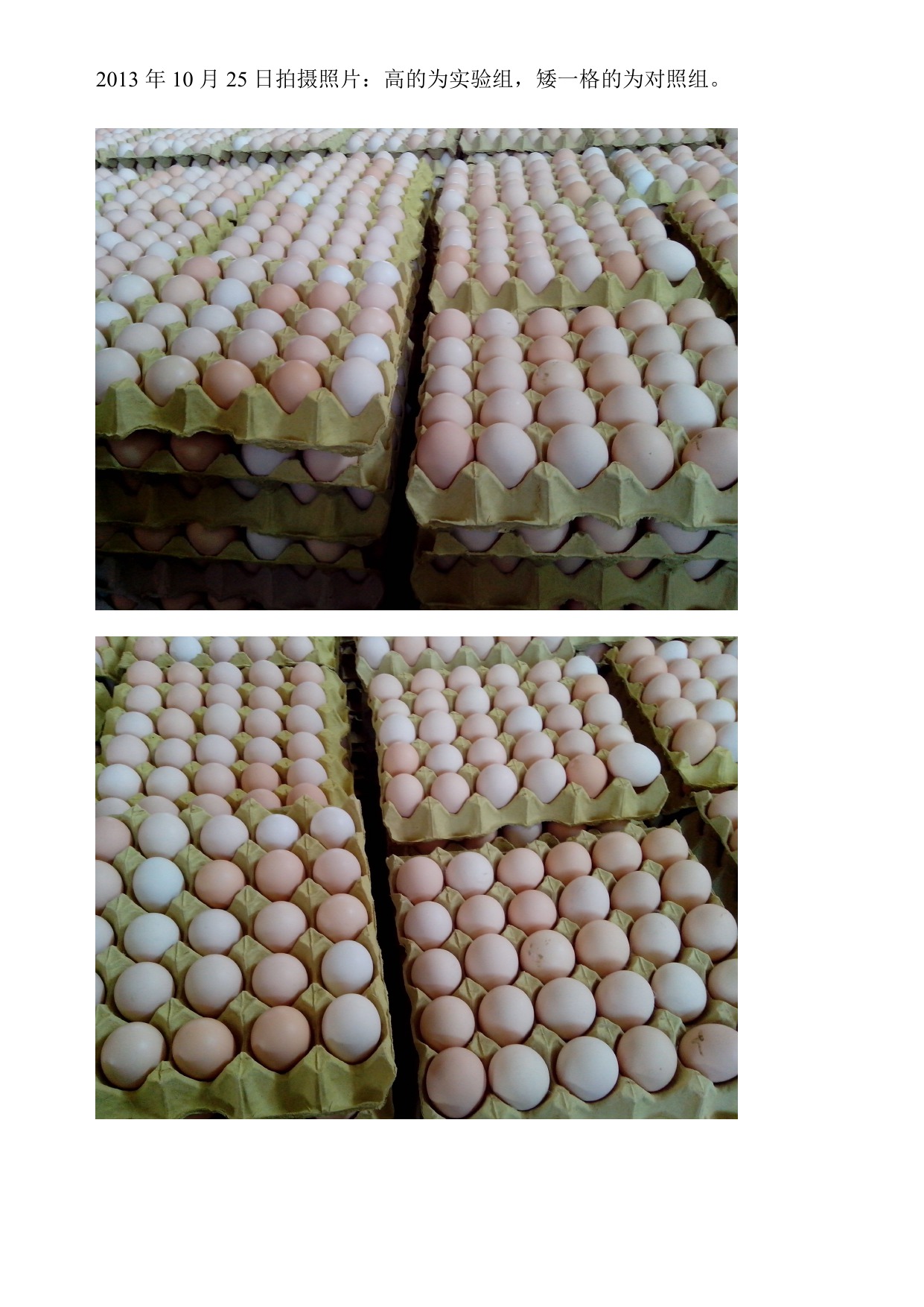 尊龙人生就是博d88 - App Store