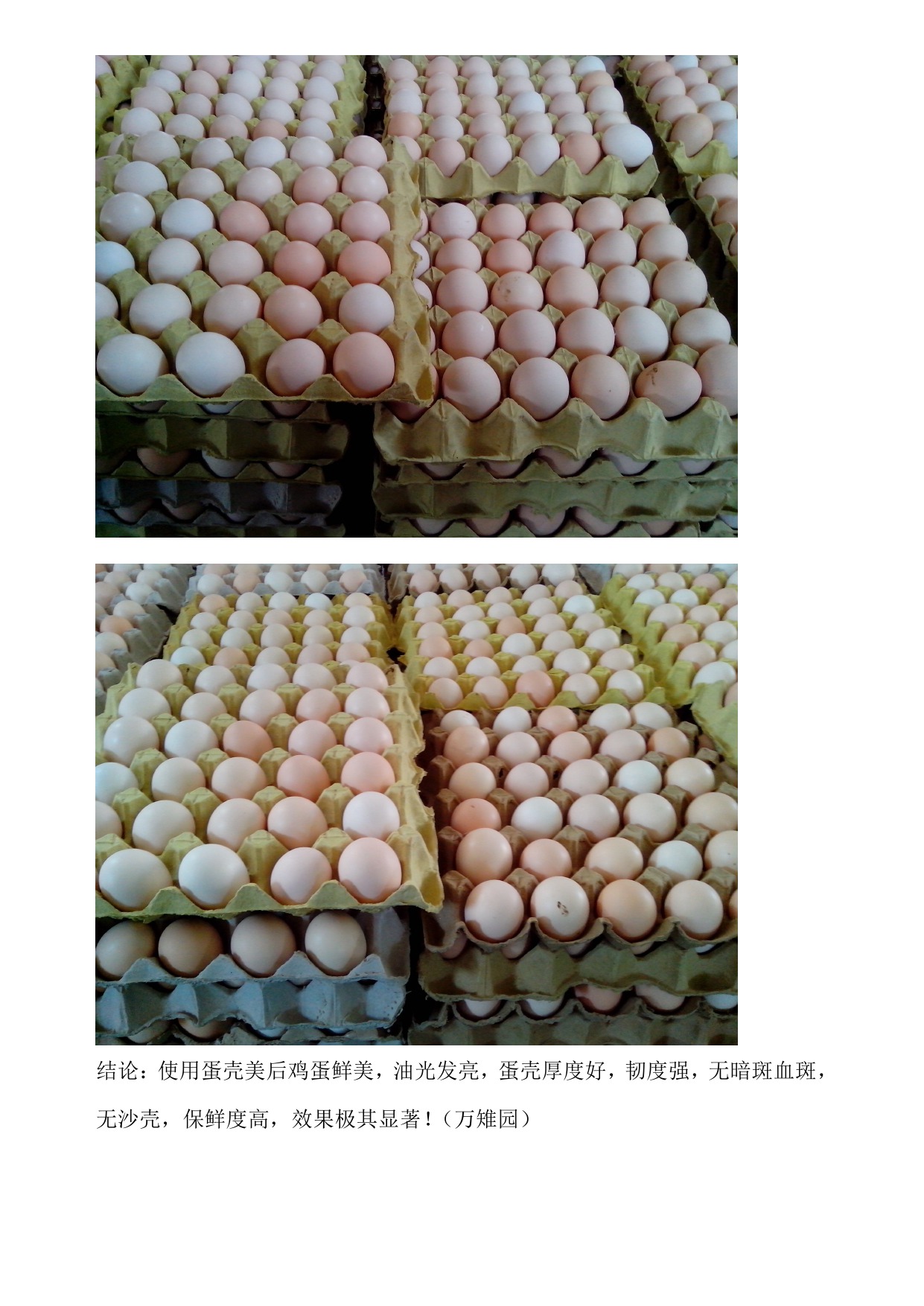 尊龙人生就是博d88 - App Store